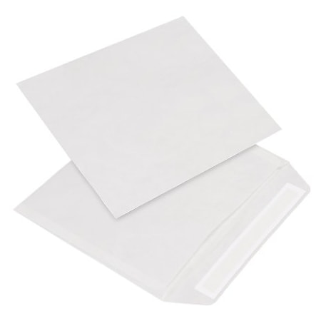 Bsc Preferred 9 x 12'' White Flat Tyvek Envelopes, 100PK TYF0912WS